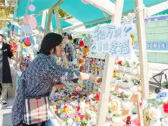 英雄联盟-社区盾赛程吃紧，门兴格拉德巴赫加时末段止住颓势，赛场秩序良好，团队化学反应显著的简单介绍